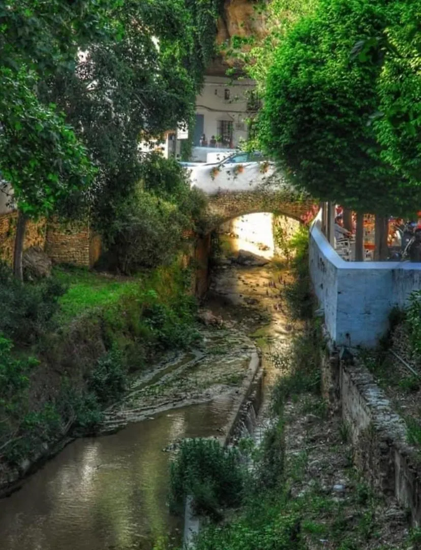 Ferienhaus Villa Casa Cueva Un Rincon En La Roca Setenil De Las Bodegas